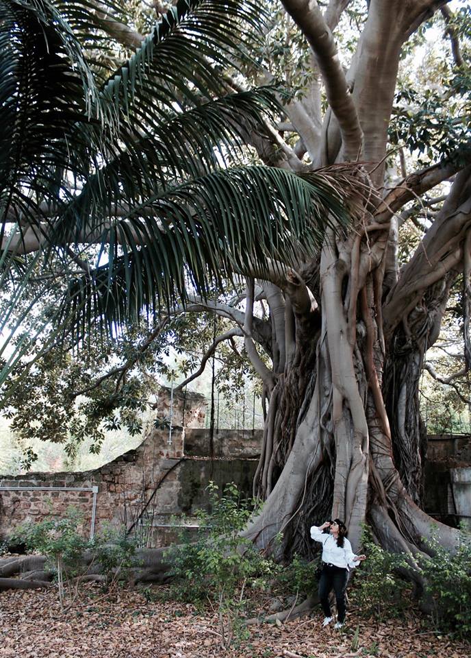 palazzina_cinese_palermo_giardini_raffaella_catania_travel_blogger