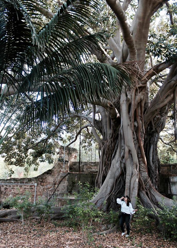 palazzina_cinese_palermo_giardini_raffaella_catania_travel_blogger