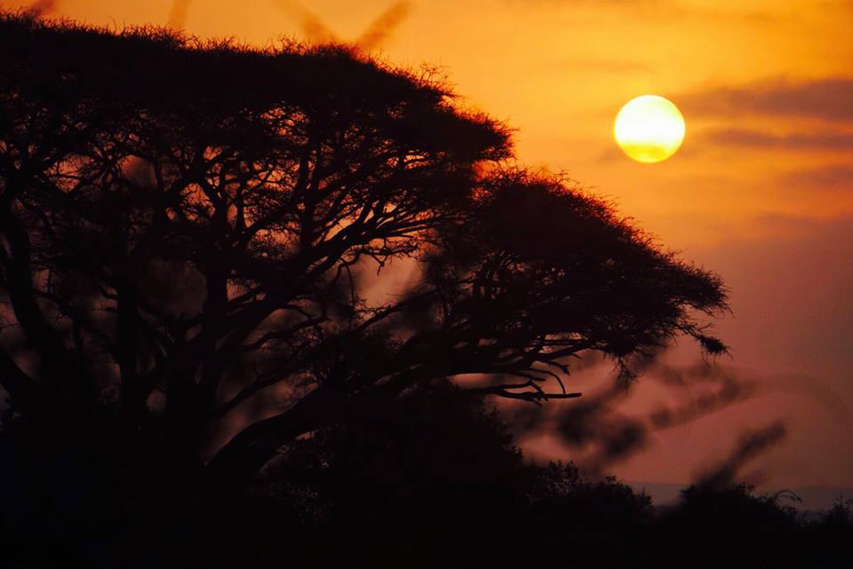 safari_kenya_travel_blogger_alba_amboseli