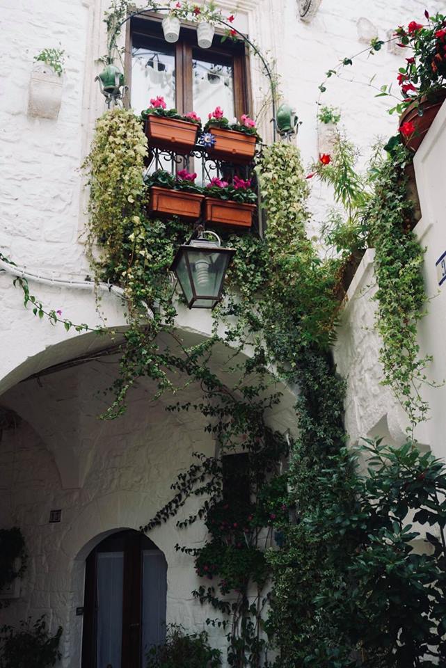 valle_ditria_cisternino_angoli_fiori_vicoli