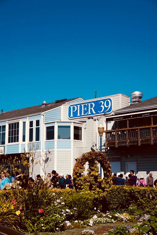 sanfrancisco_pier39_molo_raffaellacatania_blogger